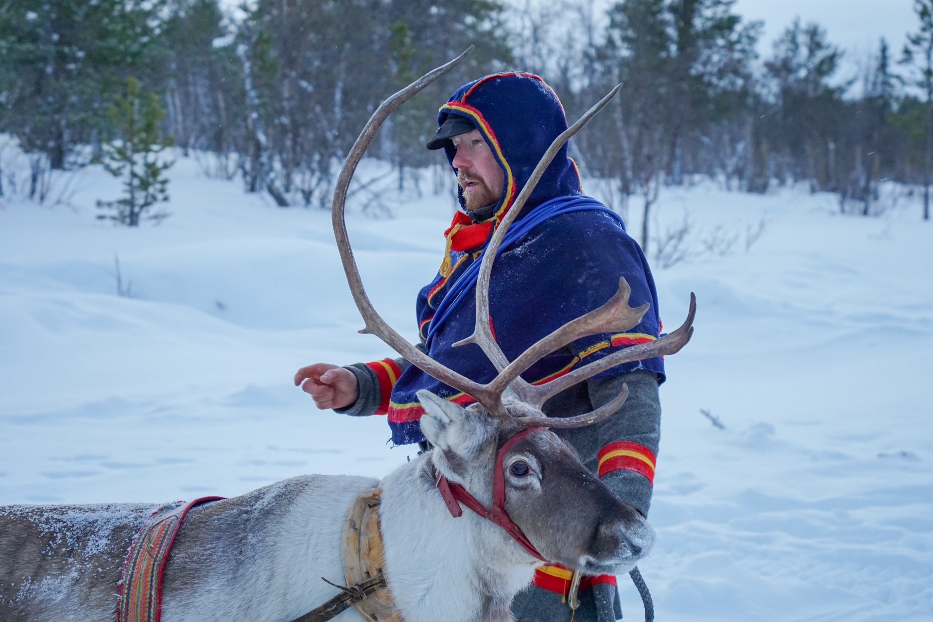 Visit Lapland Exclusive Activities by Go to Lapland